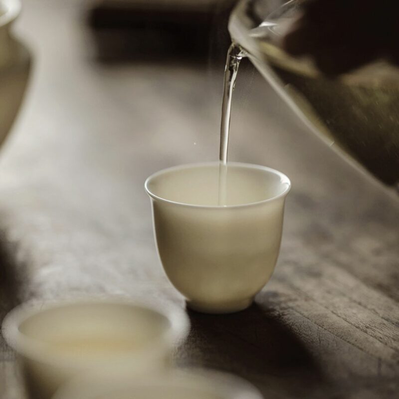 Elegant Jade White Porcelain 100ml Gaiwan